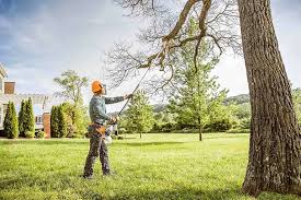 How Our Tree Care Process Works  in Cherryvale, KS